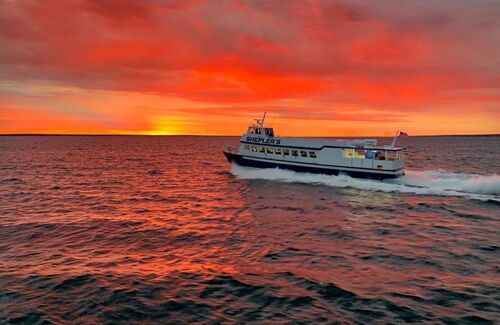 Shepler William Richard 6